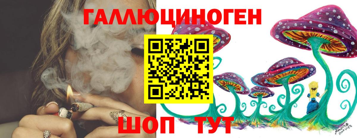 Псилоцибиновые грибы Cubensis  Псилоцибиновые грибы Psilocybine cubensis  Тейково  Вход с VPN 